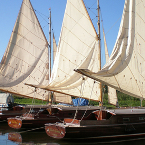 Wildplassers op de bon tijdens Sneekweek