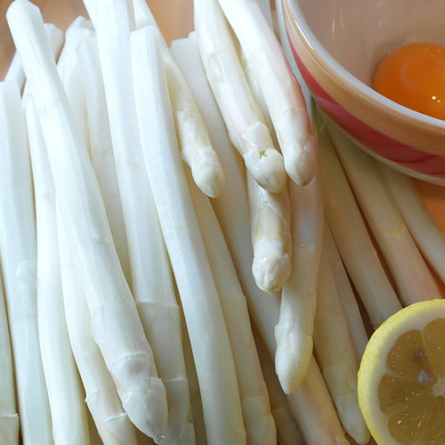 Asperges zijn er vroeg bij in Brabant