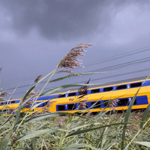 Zeker elk half uur op alle stations een trein