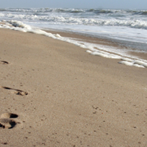 Ideale omstandigheden voor Strand6daagse