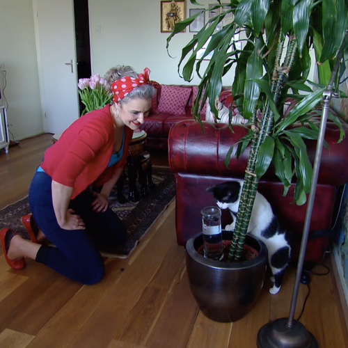 Zó geef je je planten automatisch water