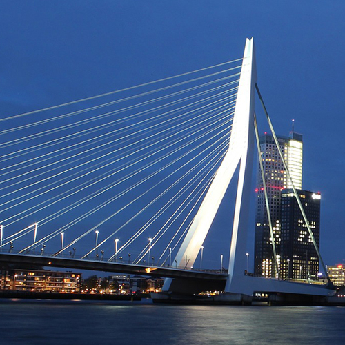 Rotterdam wil 'dierproefvrij' inkopen