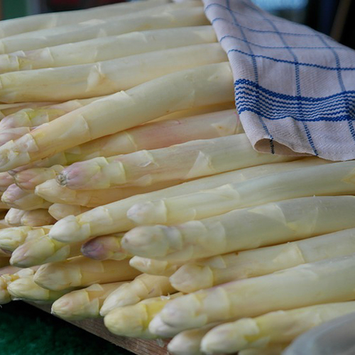 Asperge wint terrein