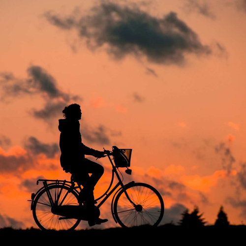 Fietsersbond: te weinig fietsplekken in de trein