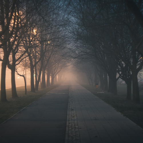 Slecht zicht door mist tijdens jaarwisseling