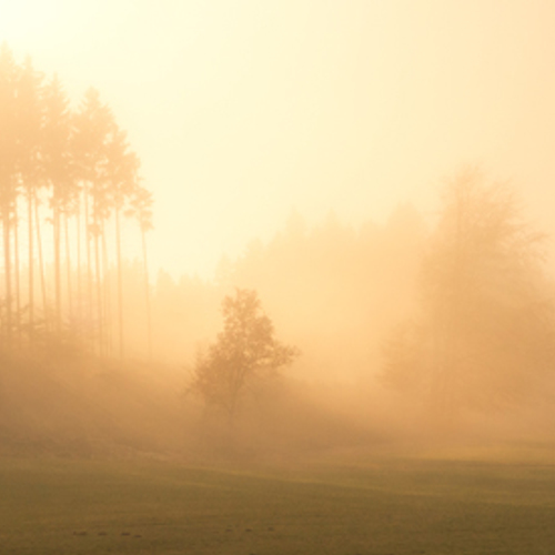 KNMI waarschuwt voor dichte mist