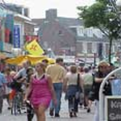 Besluit koopzondag Westland geschorst