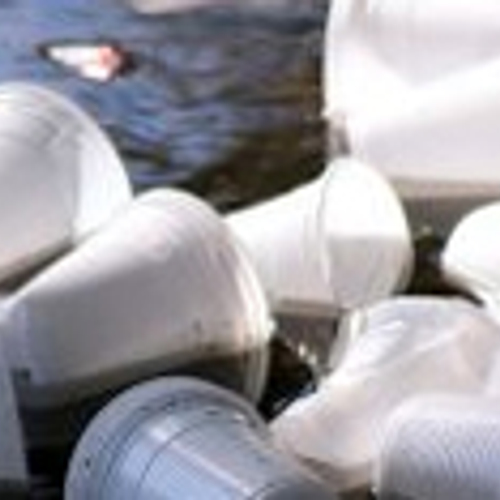 Utrechtse ondernemers zelf met bezem aan slag