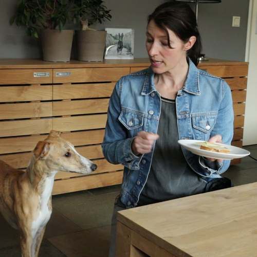 Hoe zorg ik ervoor dat mijn hond het eten niet van de tafel steelt?