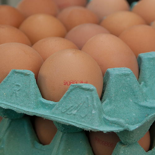 NVWA blokkeert meer leghenbedrijven