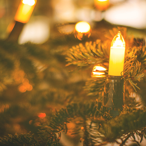 Vanaf zaterdag 's werelds grootste 'kerstboom' in buurt IJsselstein