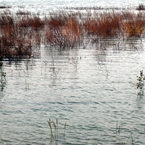 'Spring niet zomaar in open water'