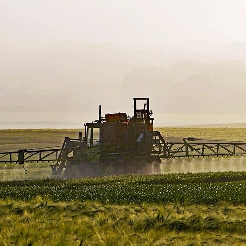 Hoogleraar wil aantonen dat er veel mis is met pesticiden