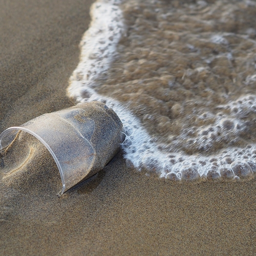 Wegwerpplastic wordt definitief verboden in 2024: dit betekent het voor jou