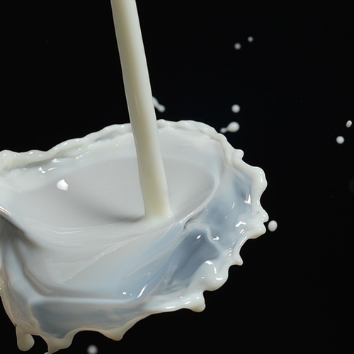 Melk en karnemelk huismerk Plus biologisch