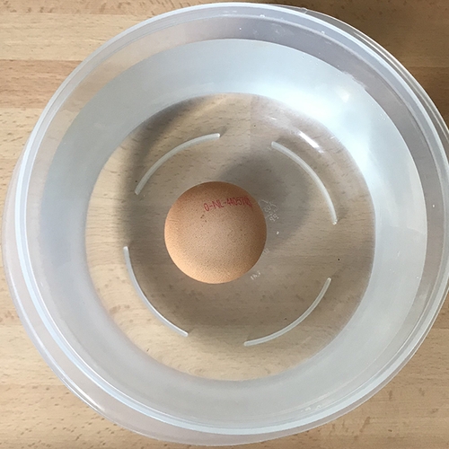 Is je ei vers of bedorven? Met deze simpele truc zie je het meteen!