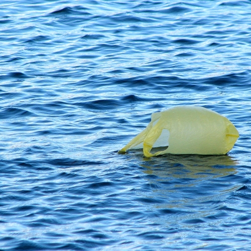 Plastic in oceaan over 30 jaar verviervoudigd