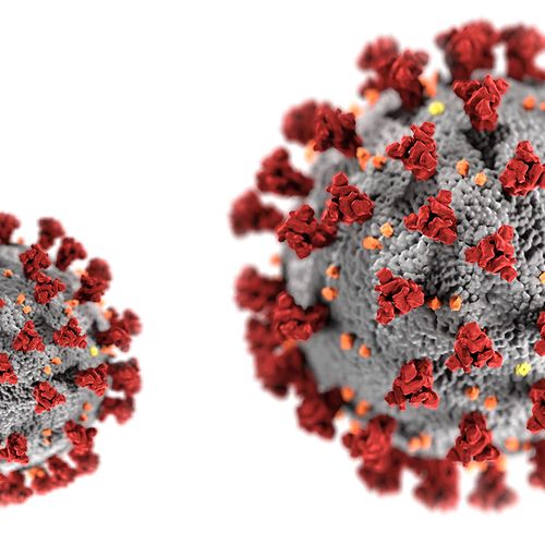 Afbeelding van Gommers: geen nieuwe lockdown door Delta-variant coronavirus