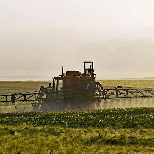 Afbeelding van Hoogleraar wil aantonen dat er veel mis is met pesticiden