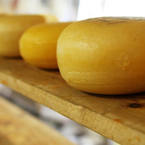 Afbeelding van Bijna geen kaas bij Albert Heijn, leverancier belooft beterschap