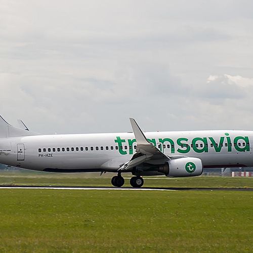 Afbeelding van Transavia annuleert 240 vluchten vanaf Schiphol: 13.000 boekingen getroffen