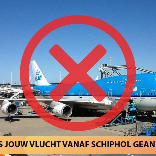 Afbeelding van Oproep: Is jouw vlucht vanaf Schiphol deze zomer geannuleerd?