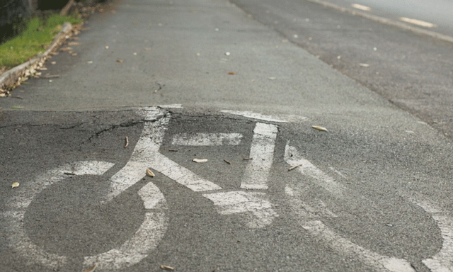 Afbeelding van Meer ernstige fietsongelukken door drukte en slecht onderhouden fietspaden